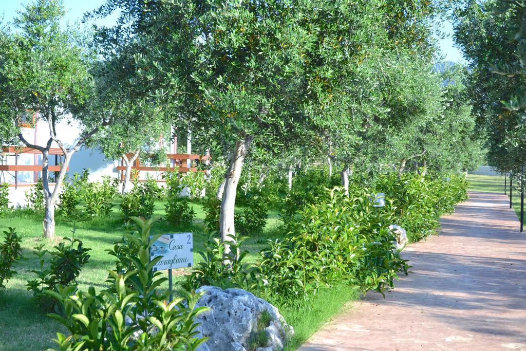 Agriturismo Antichi Ulivi Mattinata Extérieur photo
