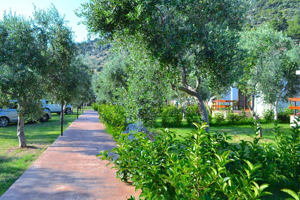Agriturismo Antichi Ulivi Mattinata Extérieur photo