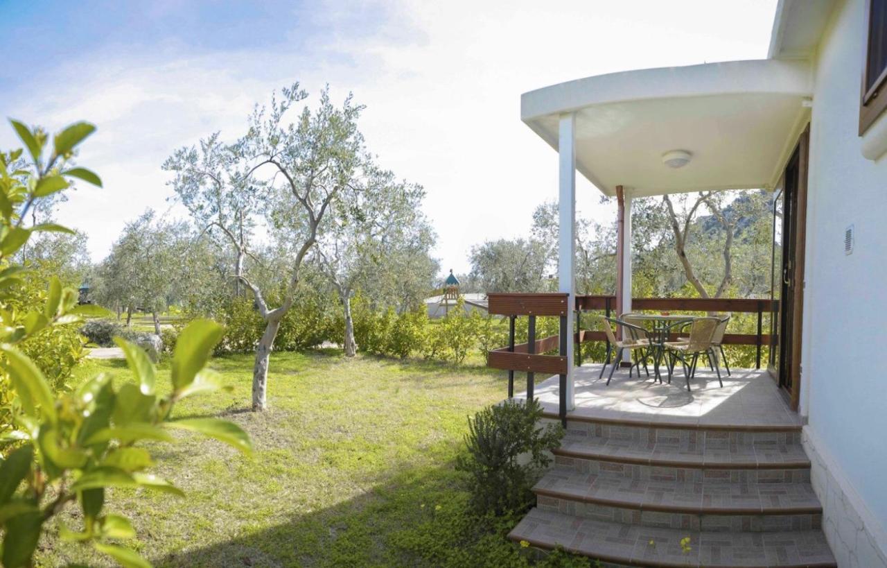 Agriturismo Antichi Ulivi Mattinata Extérieur photo